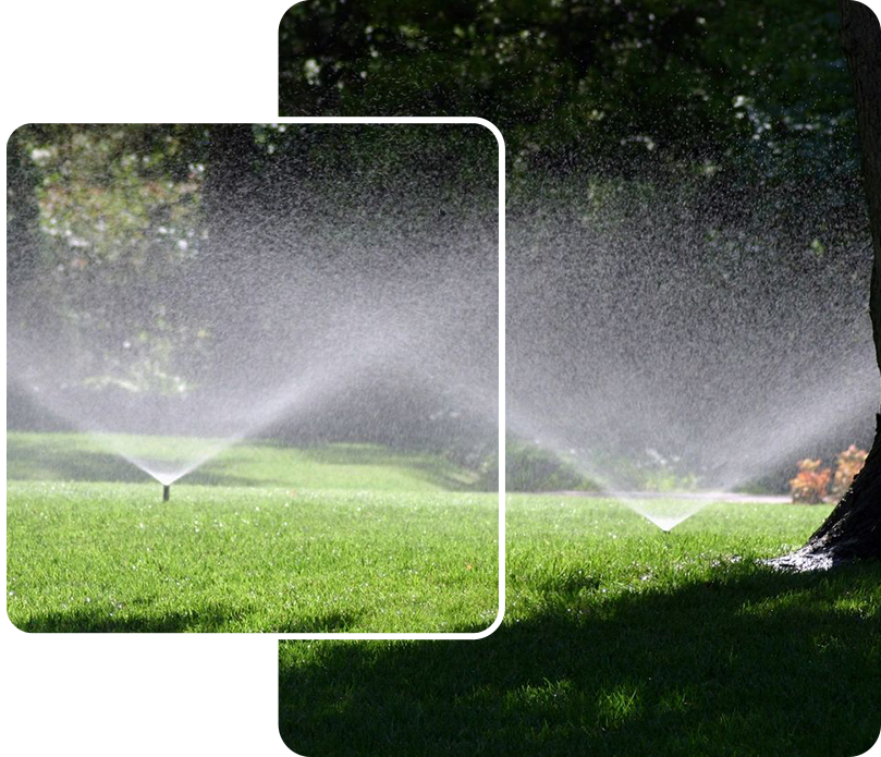 A picture of grass and trees with sprinklers.