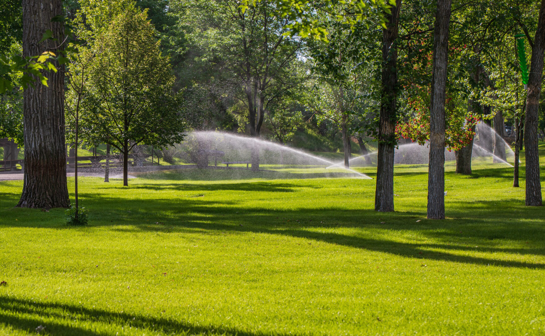 A lawn with trees and water sprinklers spraying.